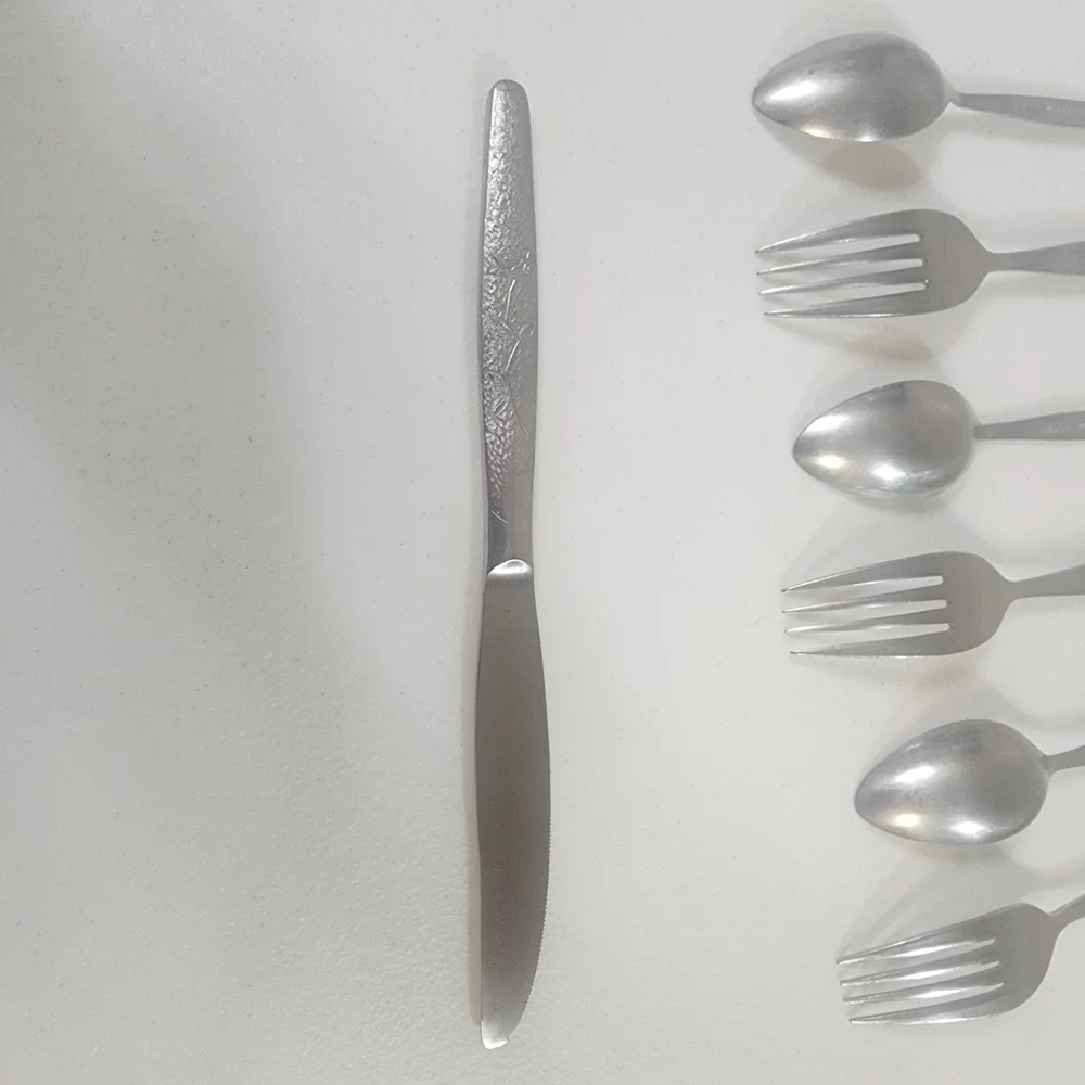 National Silver FLEUR Stainless NASCO Rose Japan Silverware replacement Flatware